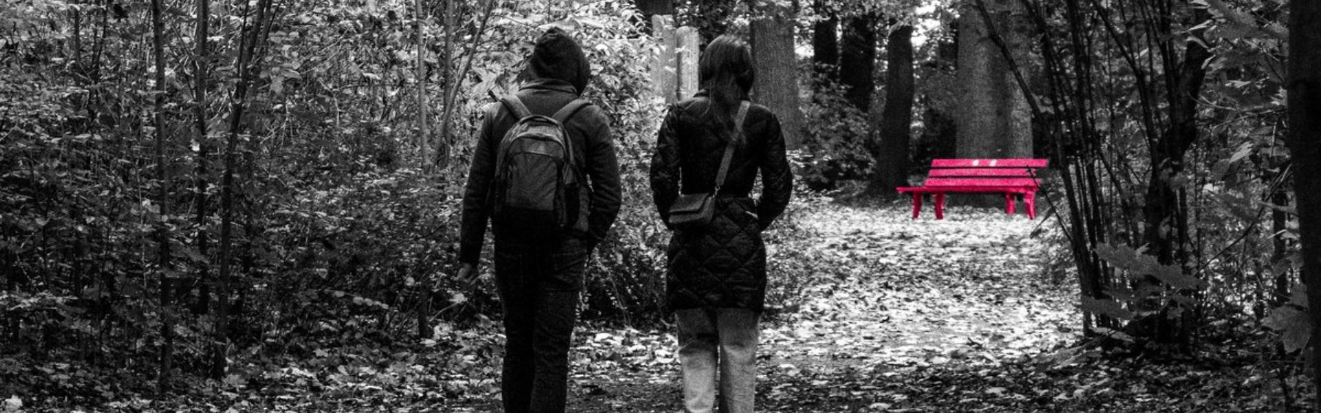 Two people walk along a forest path toward a bench highlighted in magenta.